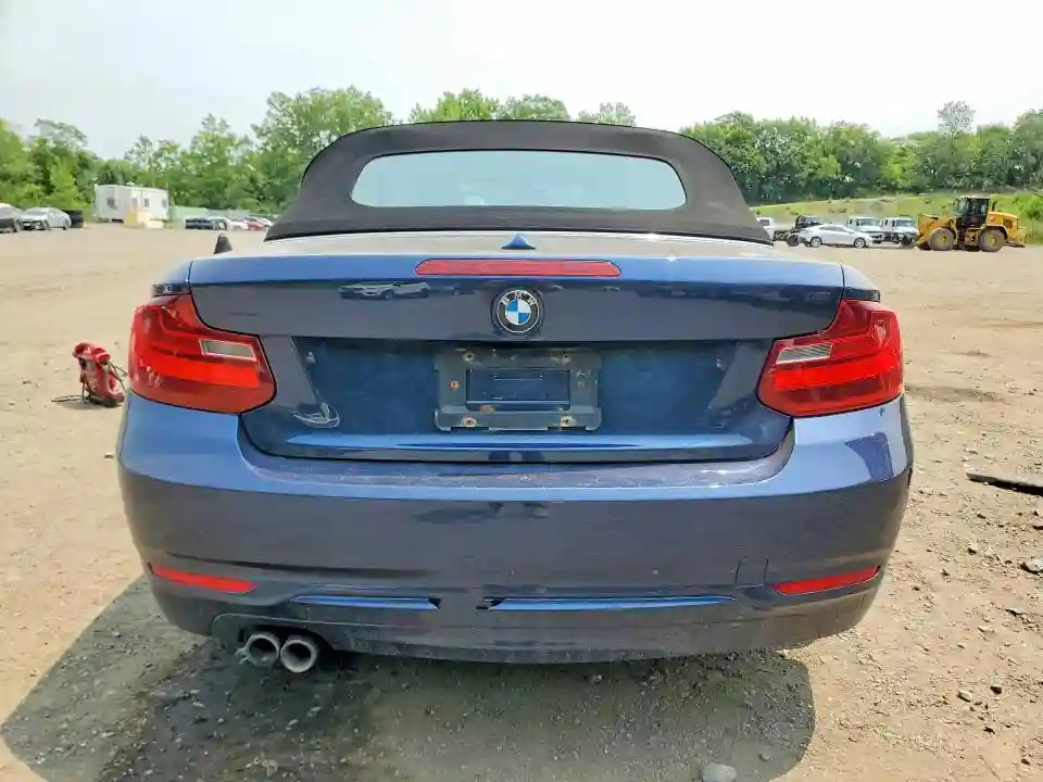 WBA1L9C56GV324975 2016 BMW 2 SERIES-5