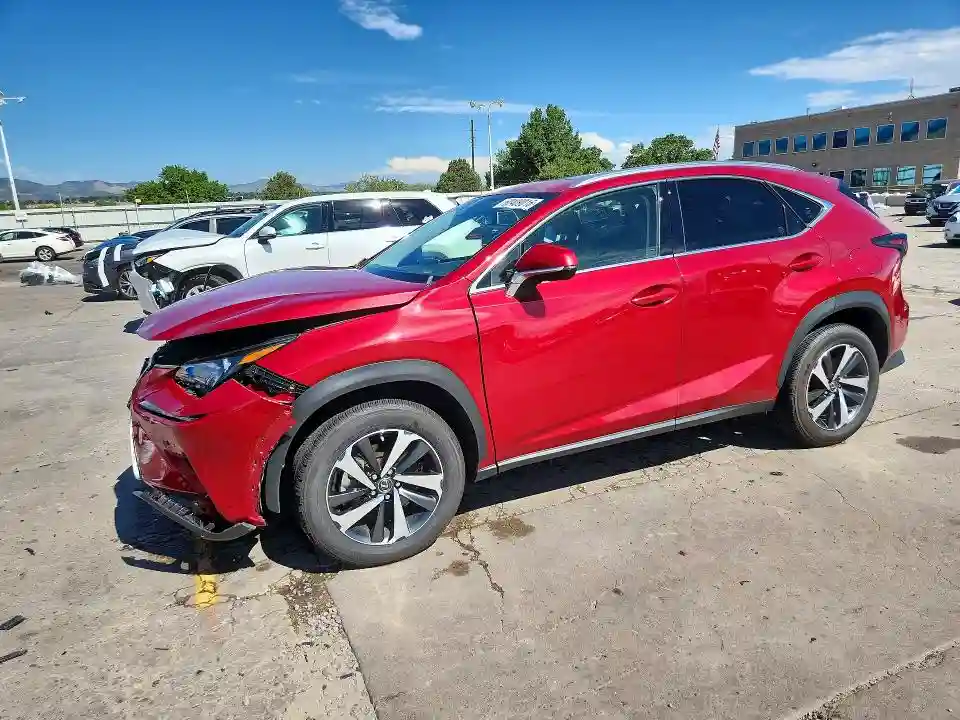 JTJGARDZ0L5012310 2020 LEXUS NX-0