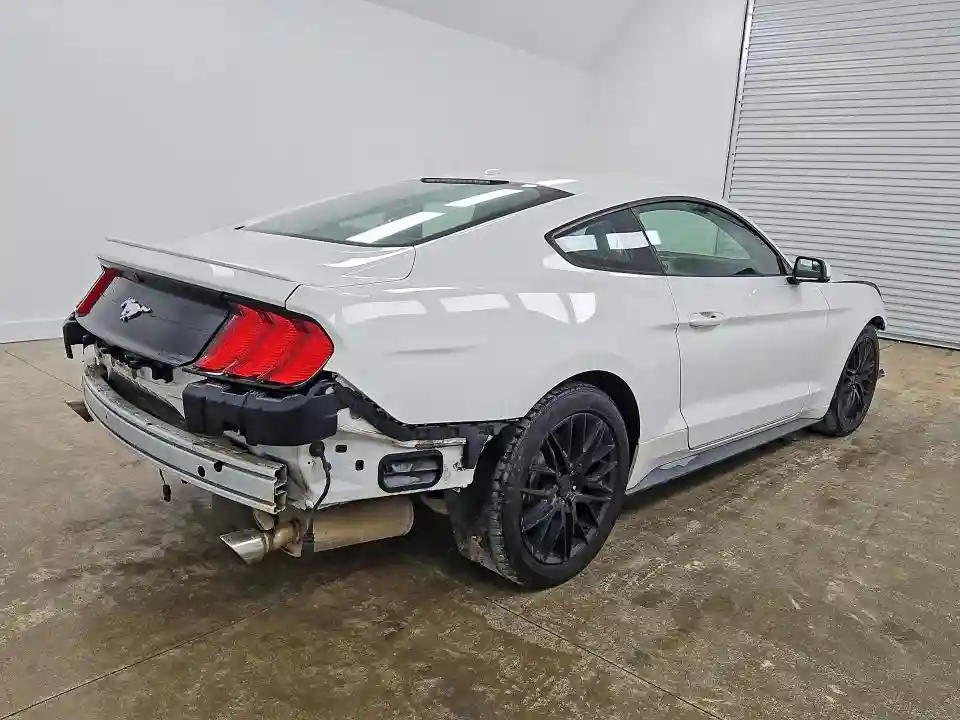1FA6P8TH4K5162134 2019 FORD MUSTANG-2