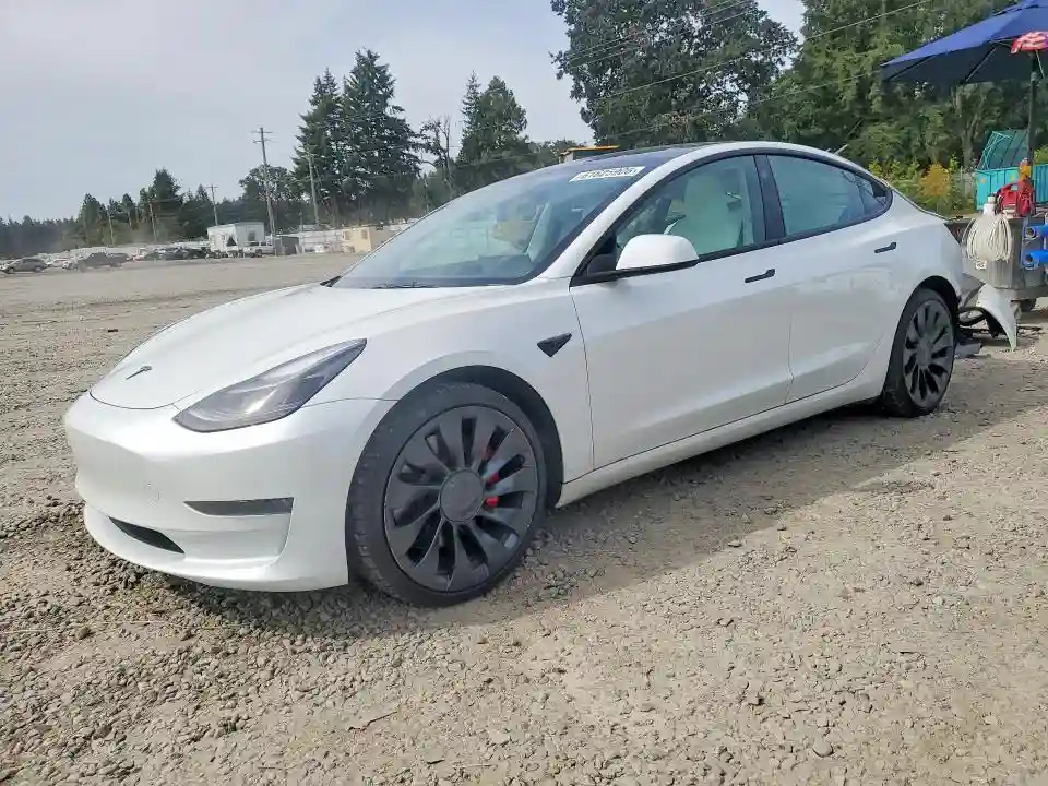 5YJ3E1EC8PF560920 2023 TESLA MODEL 3-0