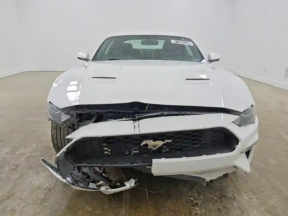1FA6P8TH4K5162134 2019 FORD MUSTANG-4