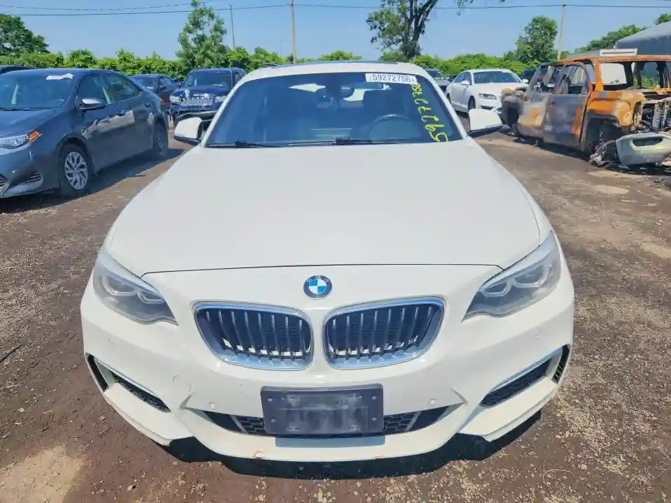 WBA1G9C50GV726575 2016 BMW 2 SERIES-4