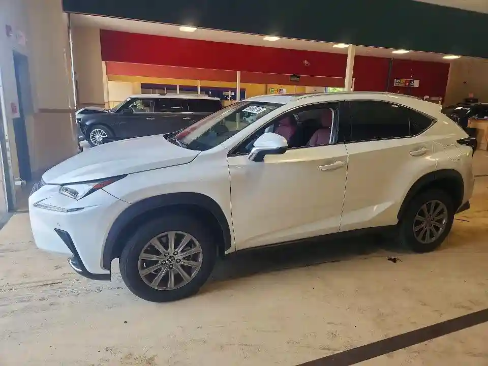 JTJDARDZ8M5021616 2021 LEXUS NX-0
