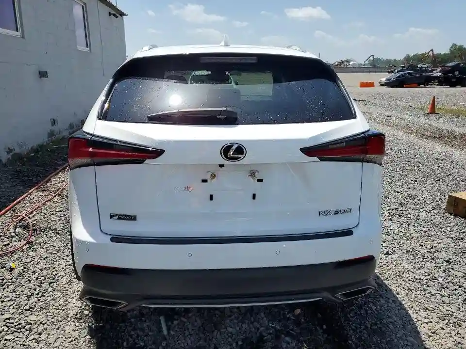 JTJSARDZ4L5013356 2020 LEXUS NX-5
