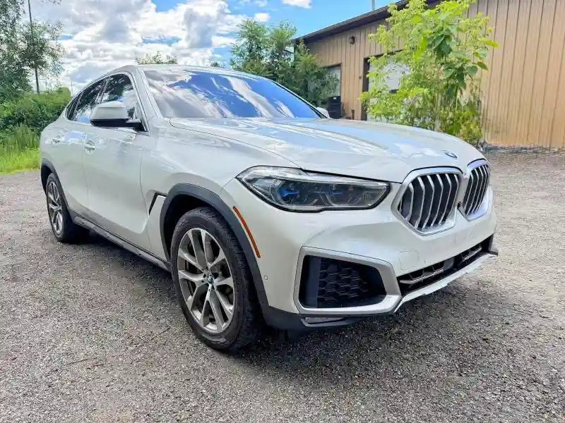 5UXCY6C0XL9D21128 2020 BMW X6-1