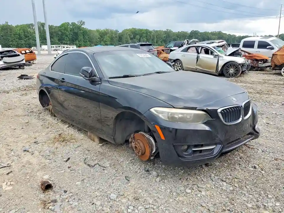 WBA1F5C59FV256394 2015 BMW 2 SERIES-3
