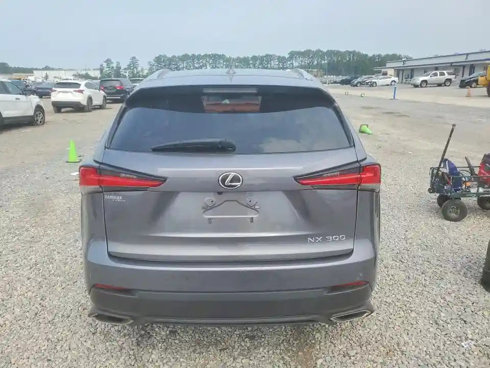 JTJGARDZ5L2233290 2020 LEXUS NX-5