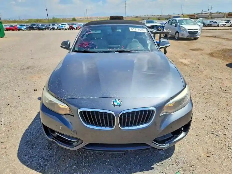 WBA1K9C56GV710072 2016 BMW 2 SERIES-4