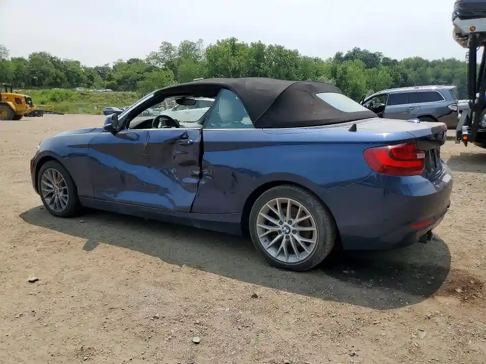 WBA1L9C56GV324975 2016 BMW 2 SERIES-1