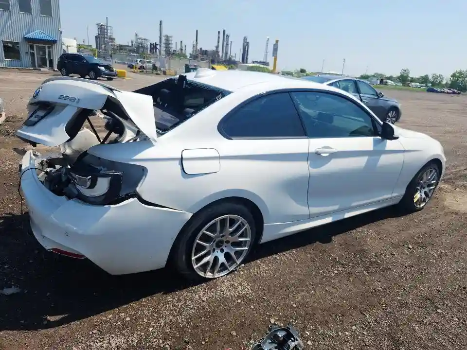 WBA1G9C50GV726575 2016 BMW 2 SERIES-2