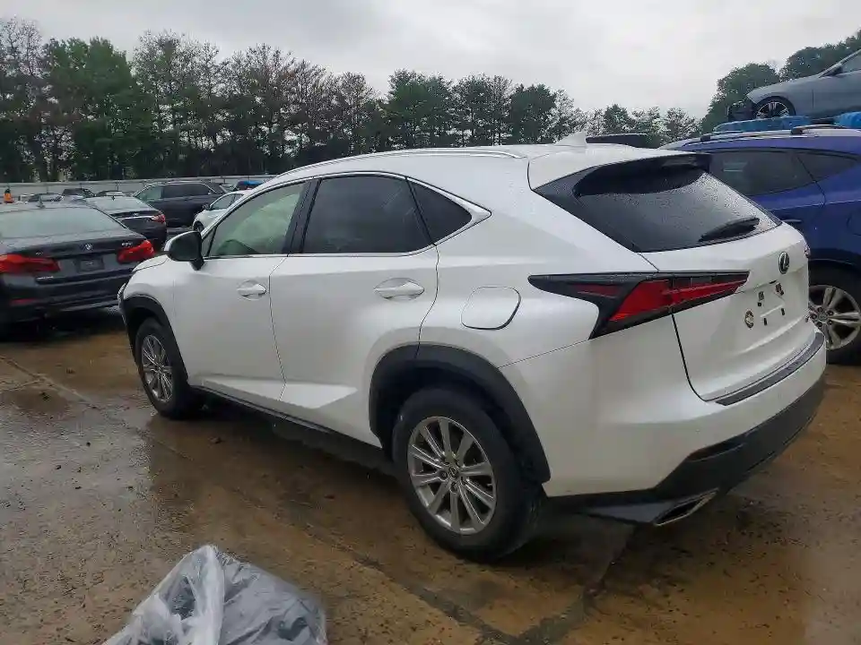 JTJDARDZ8M5022636 2021 LEXUS NX-1