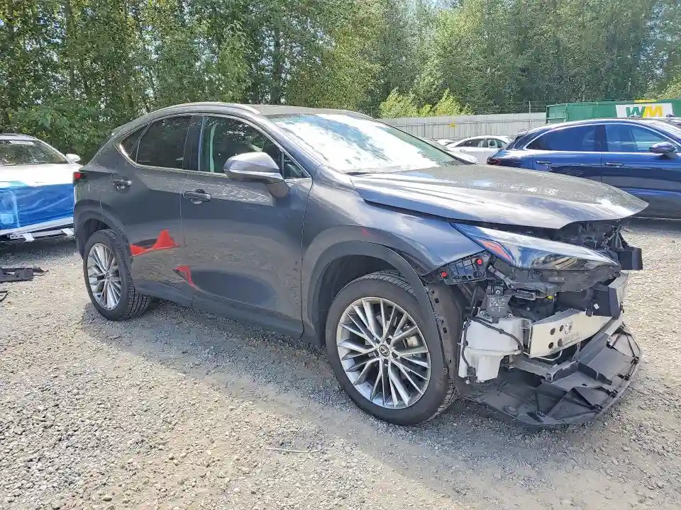 2T2HKCEZXRC024598 2024 LEXUS NX 350H LU-3