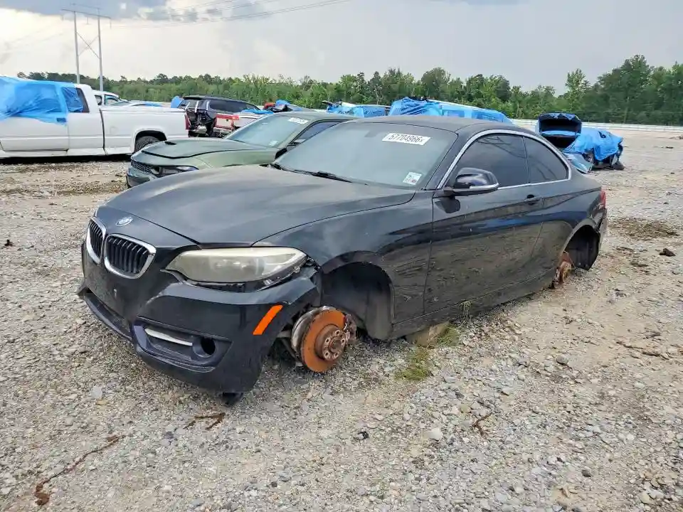 WBA1F5C59FV256394 2015 BMW 2 SERIES-0
