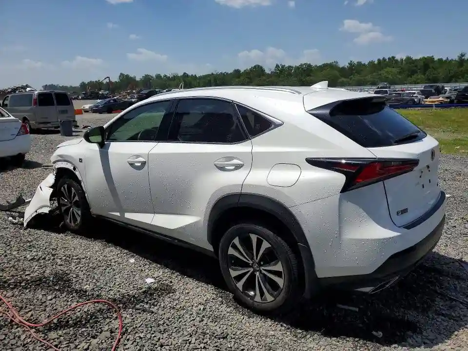JTJSARDZ4L5013356 2020 LEXUS NX-1