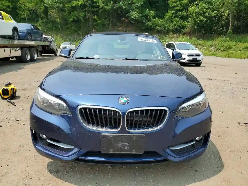 WBA1L9C56GV324975 2016 BMW 2 SERIES-4