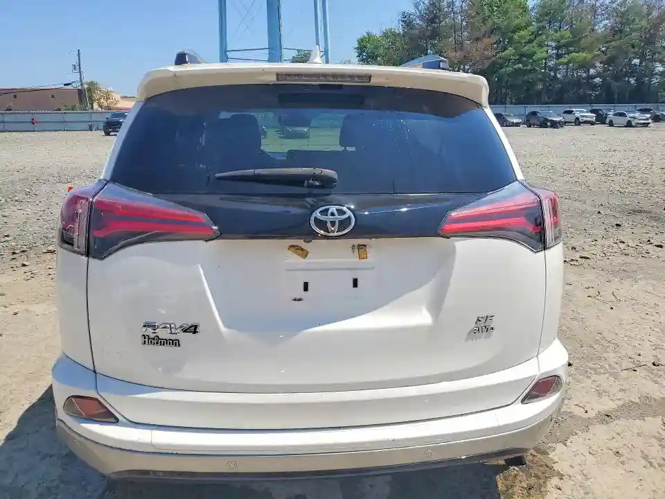 2T3JFREV8JW856221 2018 TOYOTA RAV4-5