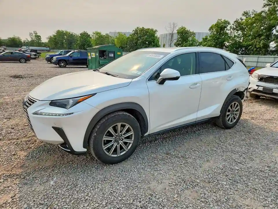 JTJBARBZXK2210163 2019 LEXUS NX-0
