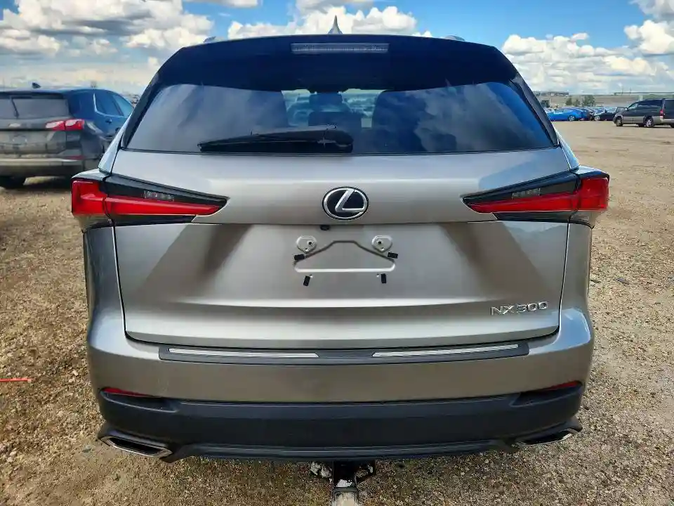 JTJBARBZ3J2163587 2018 LEXUS NX-5