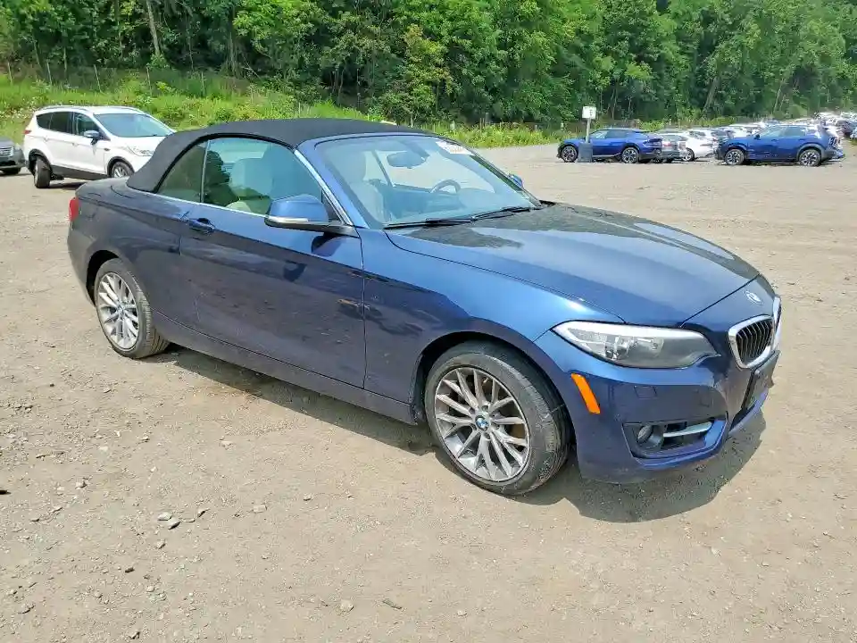 WBA1L9C56GV324975 2016 BMW 2 SERIES-3
