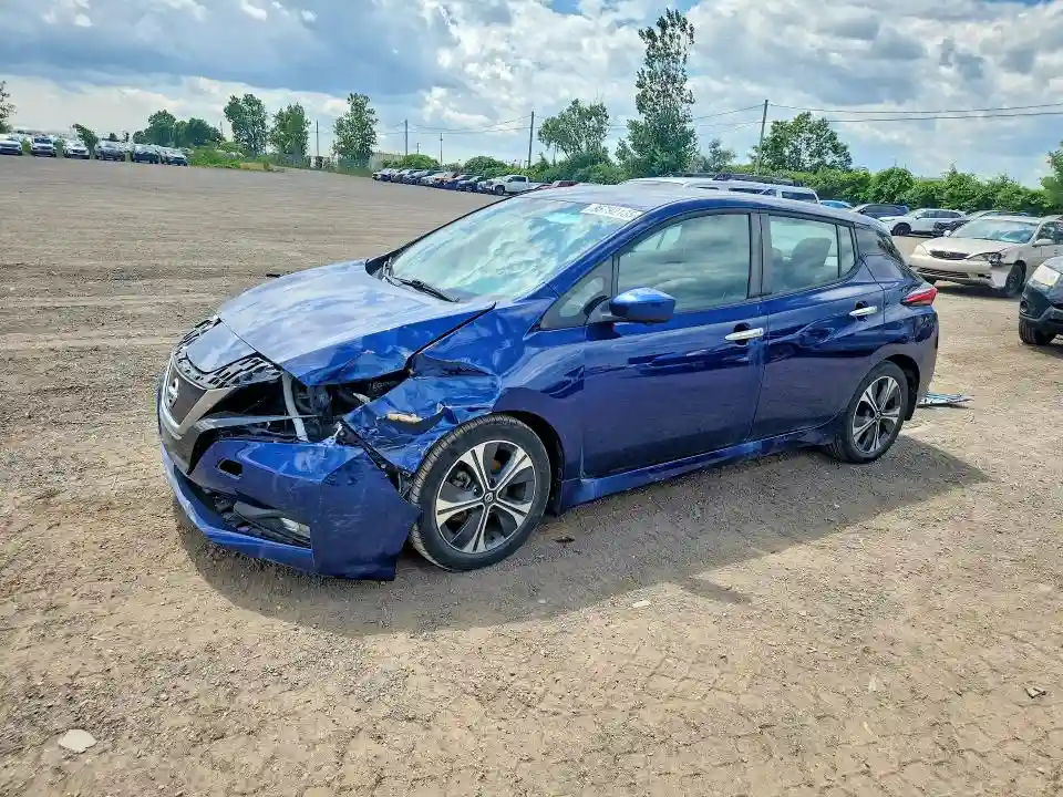 1N4AZ1CP9LC306003 2020 NISSAN LEAF-0