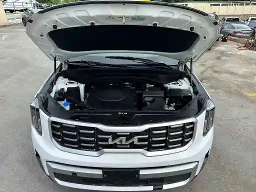 5XYP64GC4SG639970 2025 KIA TELLURIDE-4