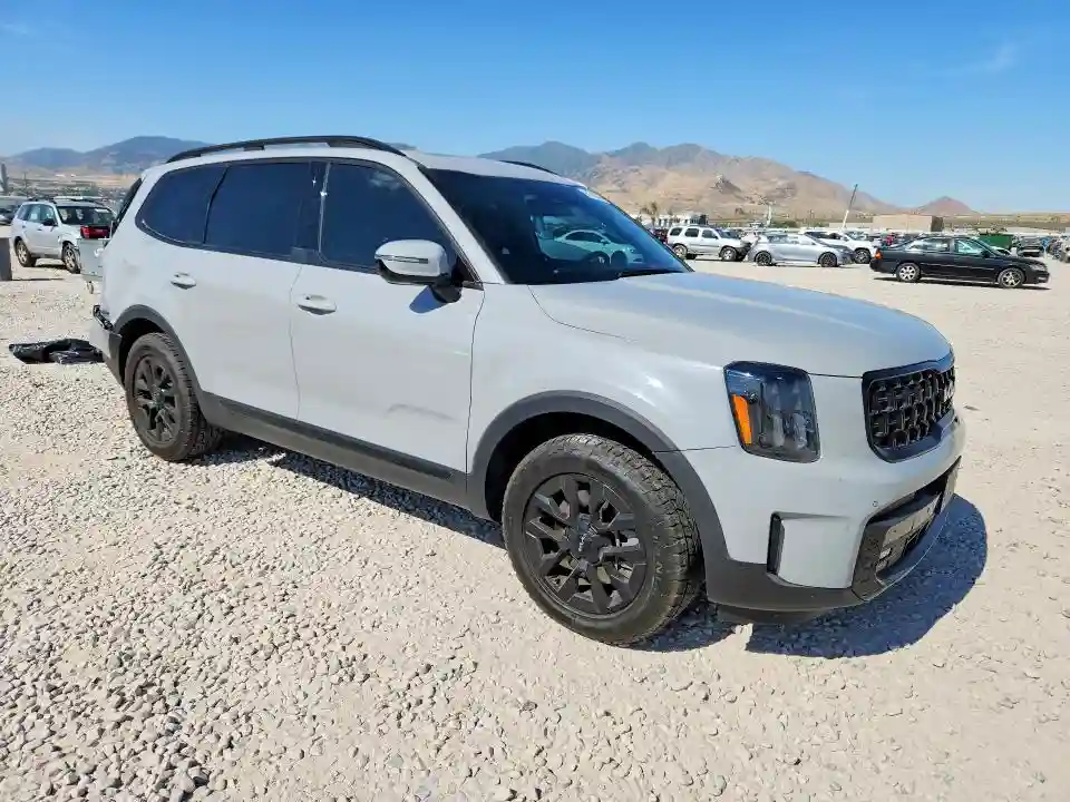 5XYP5DGC4RG479876 2024 KIA TELLURIDE-3