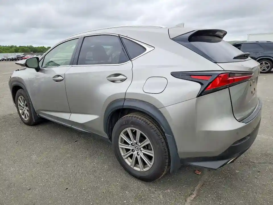 JTJDARDZ6L5017403 2020 LEXUS NX-1