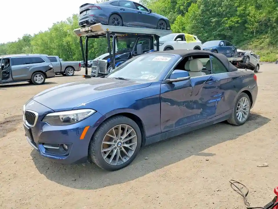 WBA1L9C56GV324975 2016 BMW 2 SERIES-0