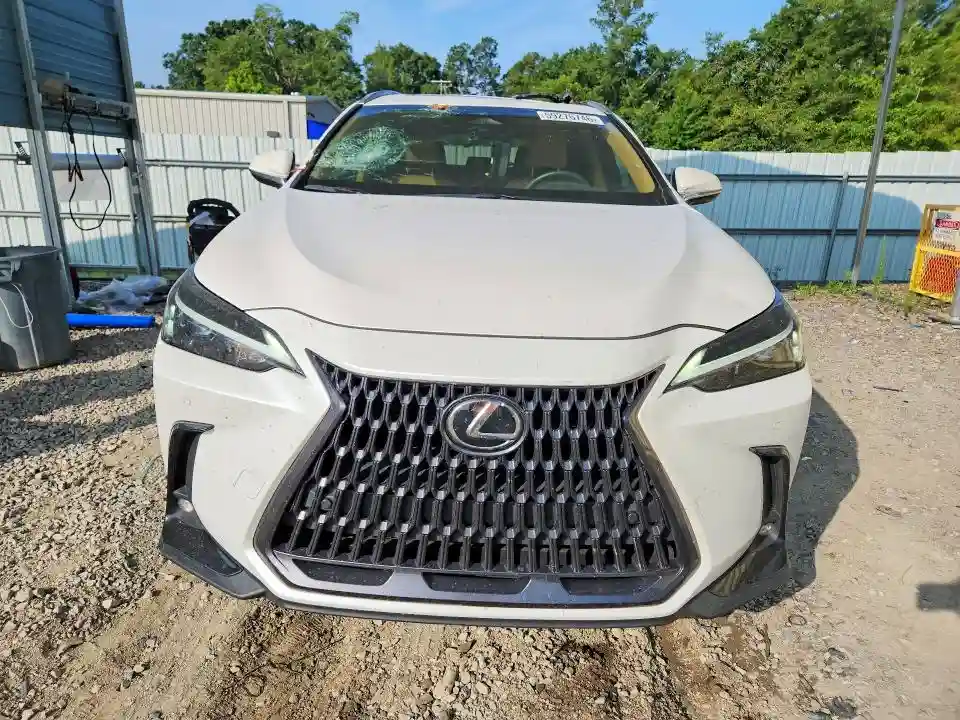 2T2GGCEZ8SC077254 2025 LEXUS NX-4