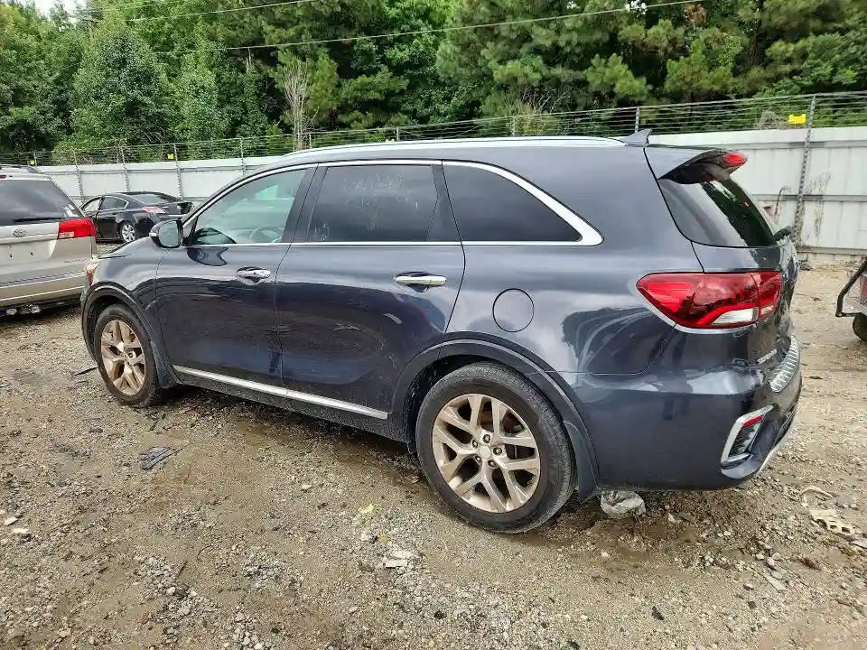 5XYPK4A56KG479399 2019 KIA CARNIVAL L-1