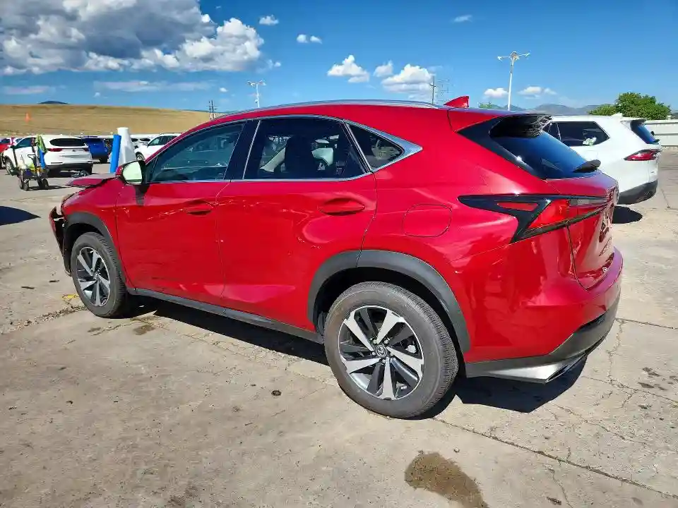 JTJGARDZ0L5012310 2020 LEXUS NX-1