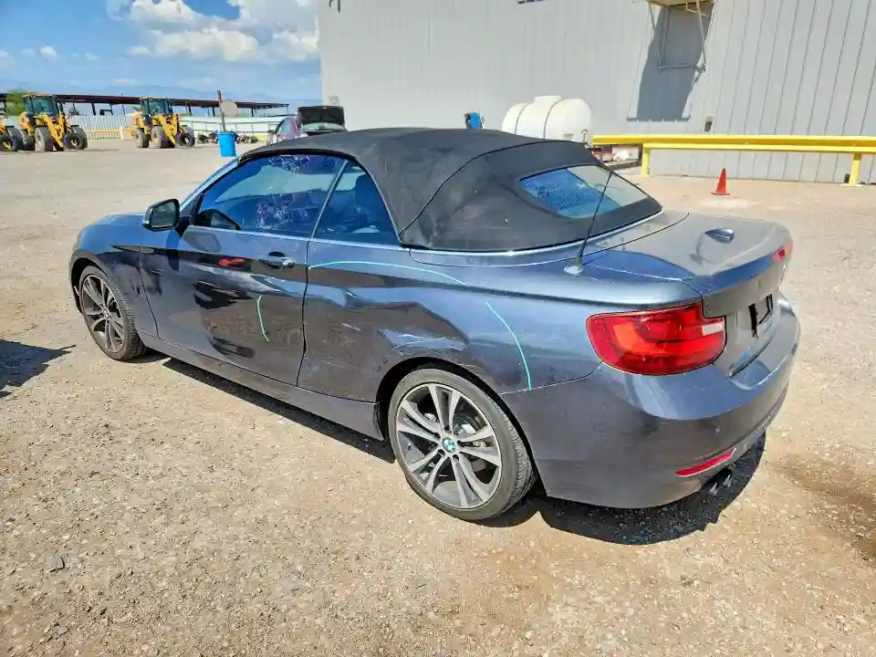 WBA1K9C56GV710072 2016 BMW 2 SERIES-1