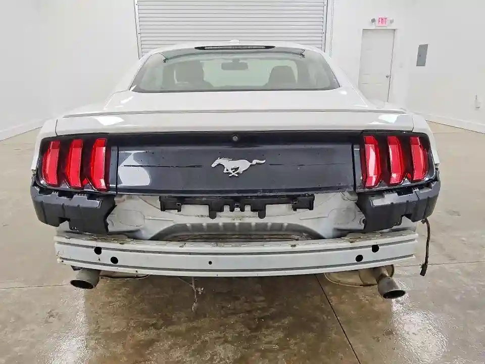 1FA6P8TH4K5162134 2019 FORD MUSTANG-5