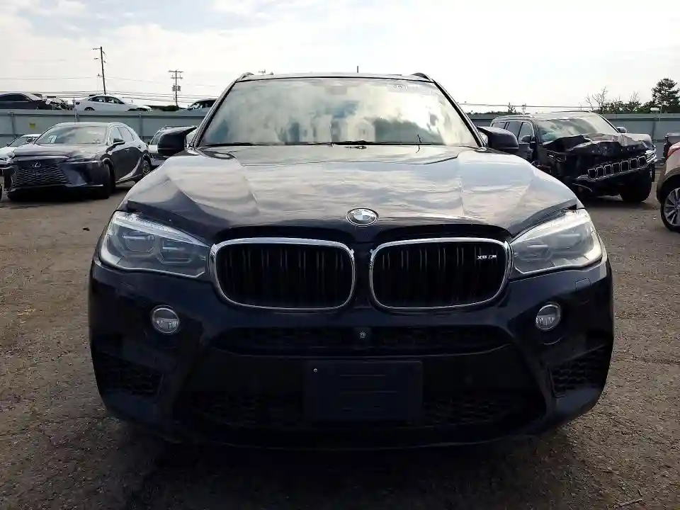 5YMKT6C58G0R77866 2016 BMW X5-4