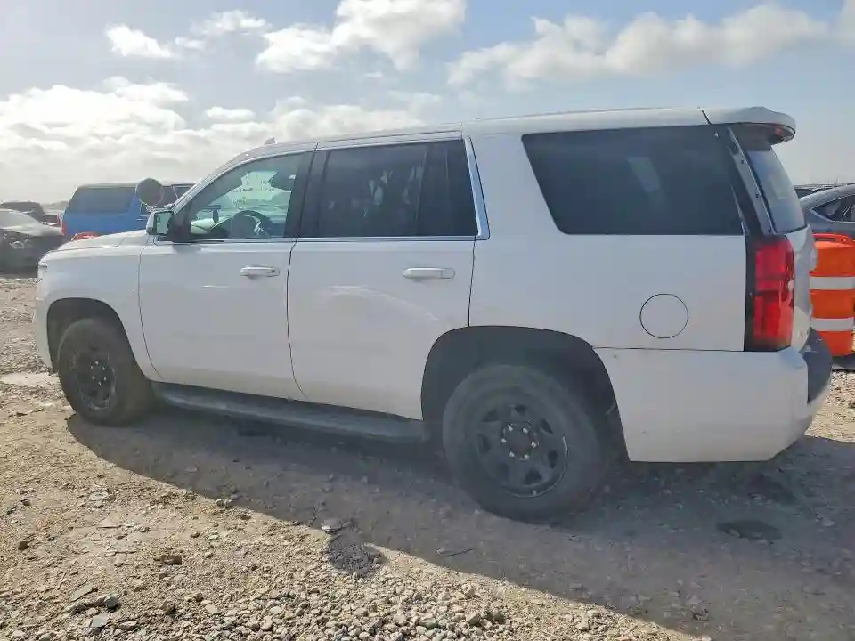1GNLCDEC3LR297156 2020 CHEVROLET TAHOE-1