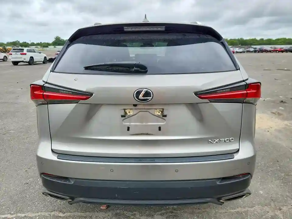JTJDARDZ6L5017403 2020 LEXUS NX-5
