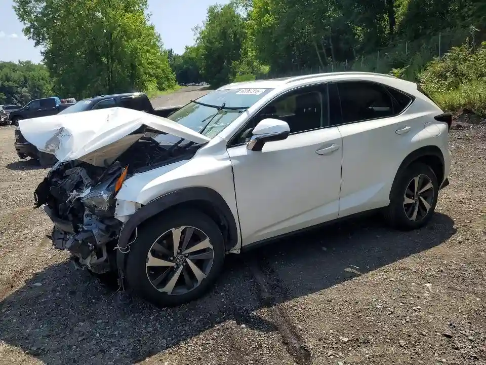 JTJBARBZ5J2150274 2018 LEXUS NX-0