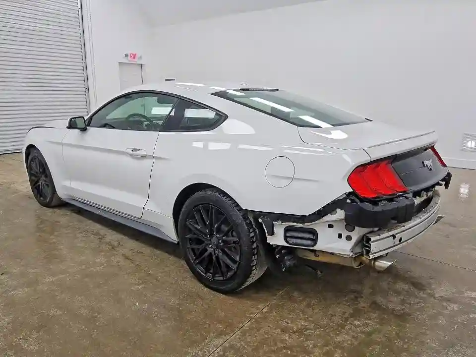 1FA6P8TH4K5162134 2019 FORD MUSTANG-1