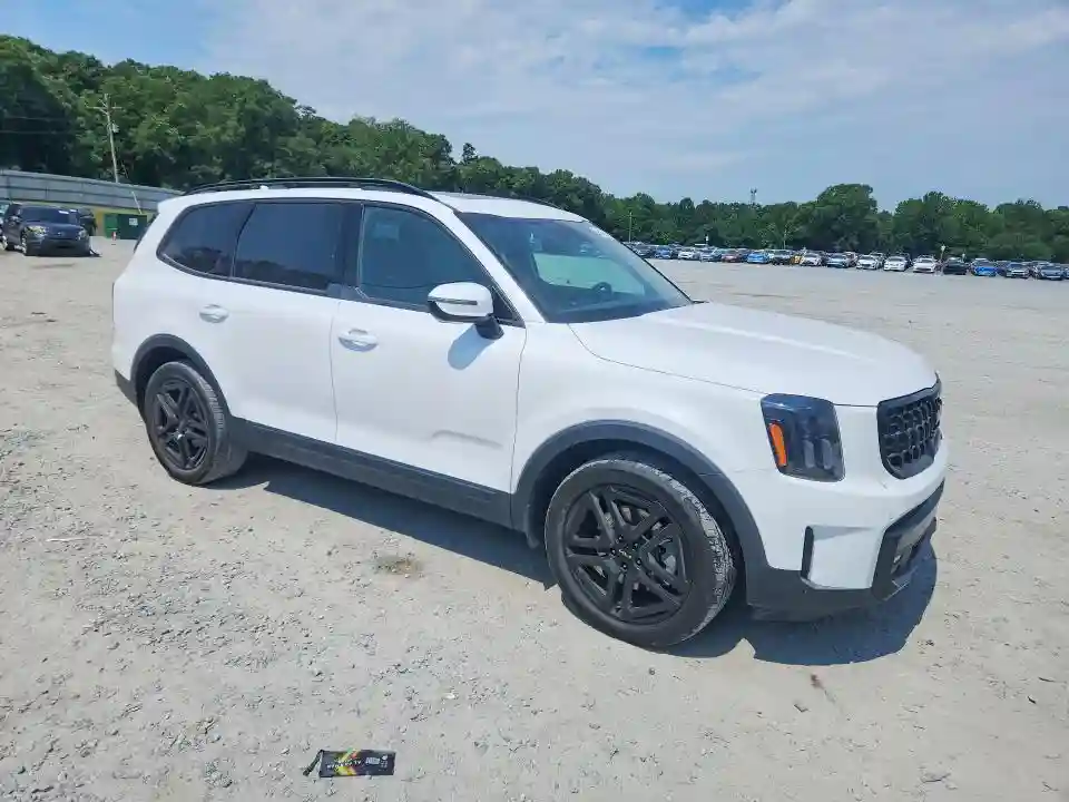 5XYP5DGC9RG495653 2024 KIA TELLURIDE-3