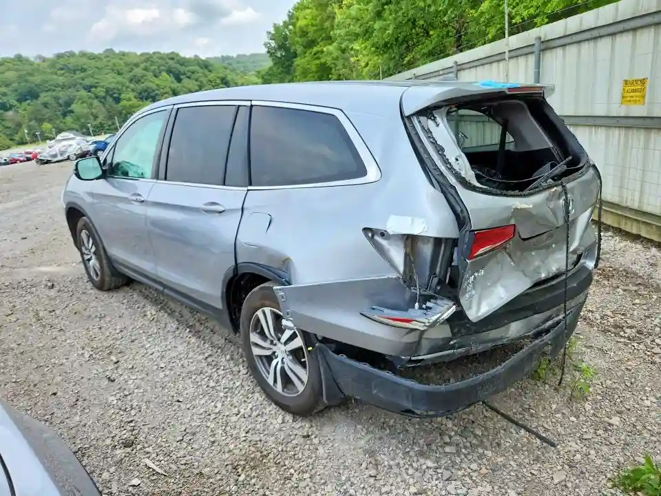 5FNYF6H55GB118626 2016 HONDA PILOT-1