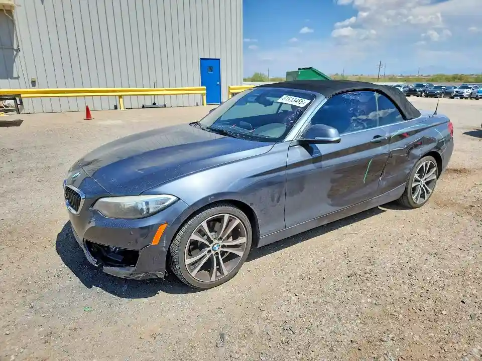 WBA1K9C56GV710072 2016 BMW 2 SERIES-0