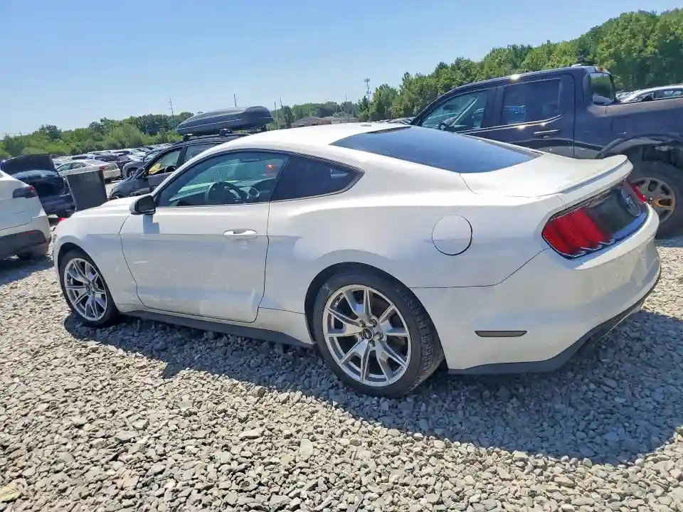 1FA6P8TH1F5310679 2015 FORD MUSTANG-1