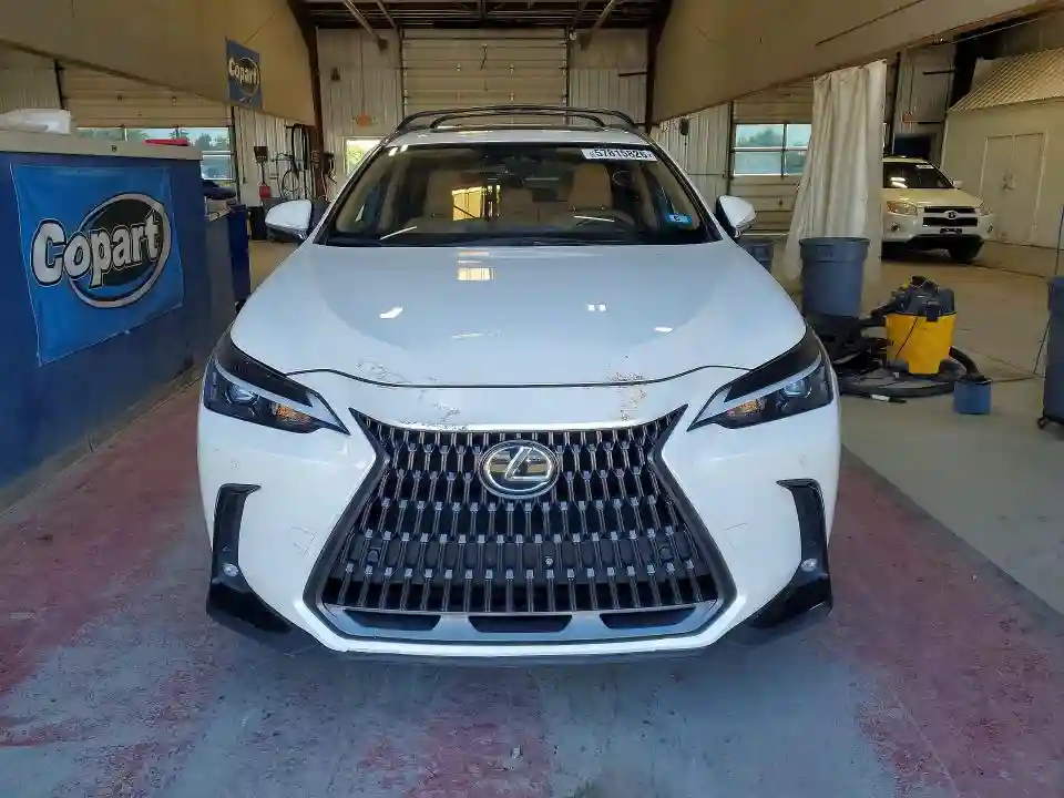 JTJGGCEZ6R2011148 2024 LEXUS NX 350 PRE-4