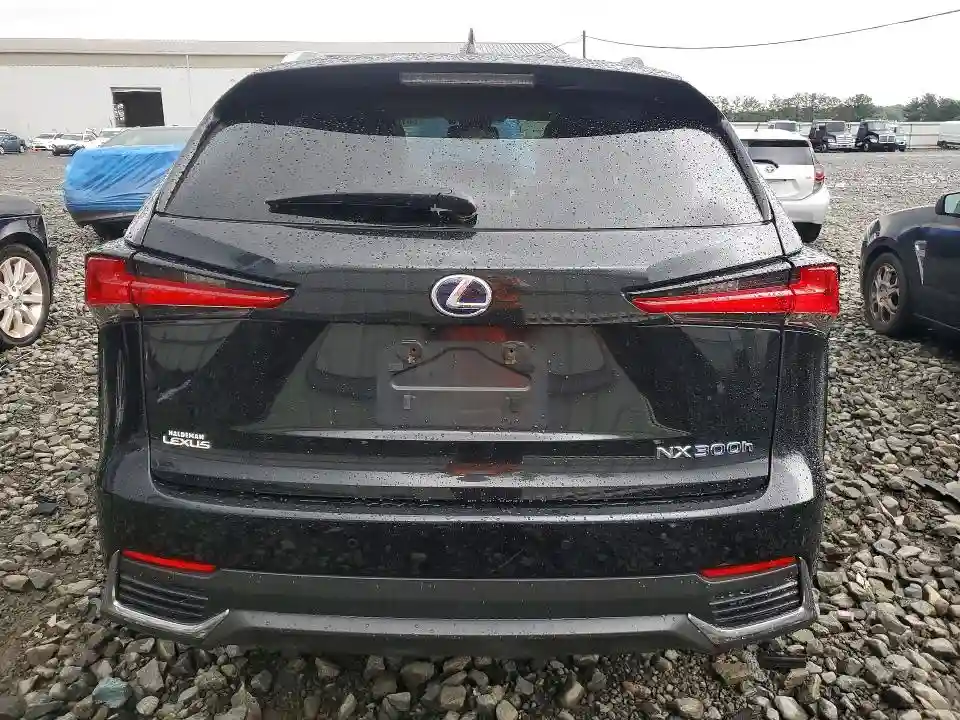 JTJBJRBZ3K2099004 2019 LEXUS NX-5