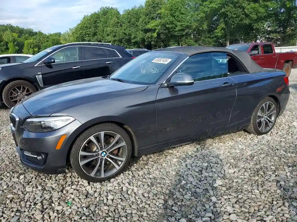 WBA2M9C58HV717198 2017 BMW 2 SERIES-0