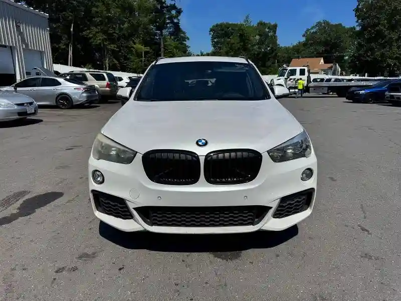 WBXHU7C33J5L09376 2018 BMW X1-4
