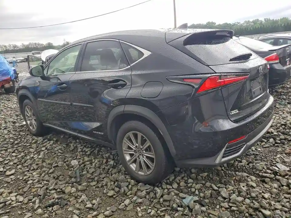JTJBJRBZ3K2099004 2019 LEXUS NX-1