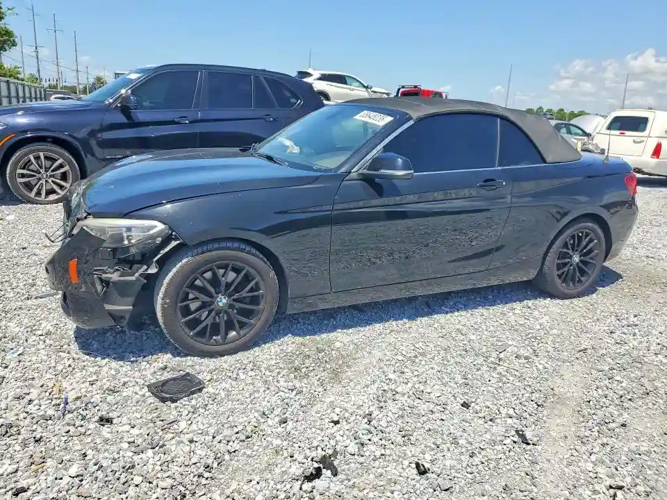 WBA1K5C58FV242787 2015 BMW 2 SERIES-0
