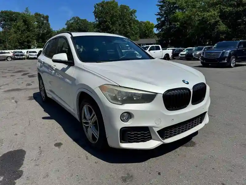 WBXHU7C33J5L09376 2018 BMW X1-3