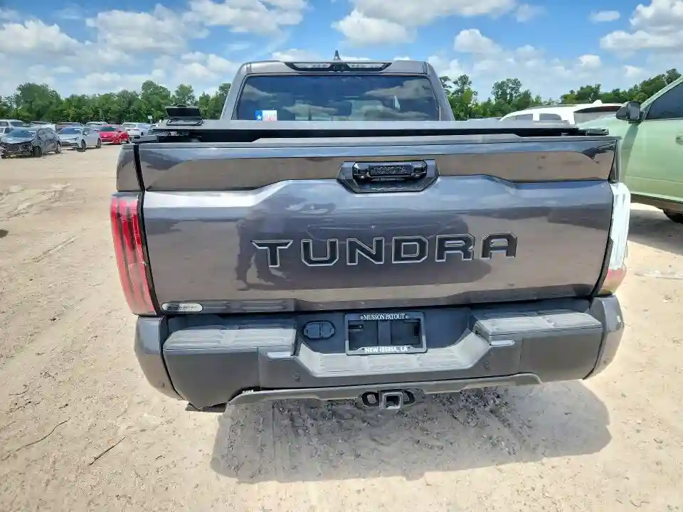 5TFZA5AB1SX048134 2025 TOYOTA TUNDRA-5